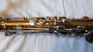 Dolnet Royal Jazz tenor (4)